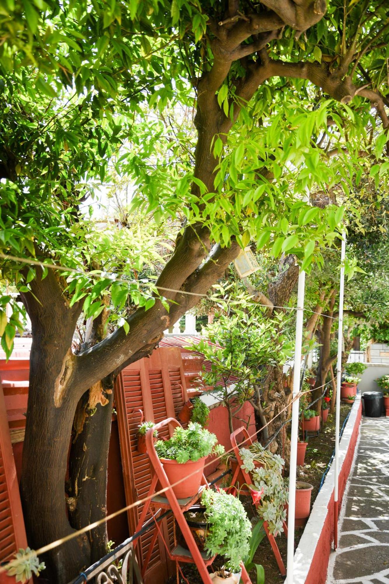 Rent House Daphne Apartment Kavala Exterior photo